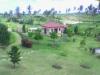 FOR SALE: Lot / Land / Farm Cavite 2