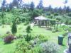 FOR SALE: Lot / Land / Farm Cavite 4