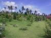 FOR SALE: Lot / Land / Farm Cavite 5