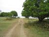 FOR SALE: Lot / Land / Farm Batangas