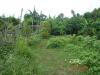 FOR SALE: Lot / Land / Farm Binangonan,Rizal