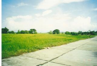 FOR SALE: Lot / Land / Farm Nueva Ecija 3