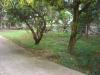 FOR SALE: Lot / Land / Farm Bataan 5