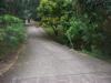 FOR SALE: Lot / Land / Farm Bataan 4