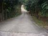 FOR SALE: Lot / Land / Farm Bataan 6