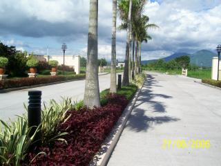 FOR SALE: Apartment / Condo / Townhouse Laguna > Los Banos 3