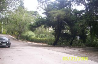 FOR SALE: Lot / Land / Farm Benguet > Baguio 6