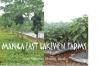 FOR SALE: Lot / Land / Farm Rizal 1