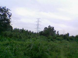 FOR SALE: Lot / Land / Farm Quezon