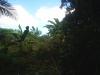 FOR SALE: Lot / Land / Farm Ilocos Sur