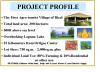 Project Profile