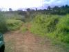 FOR SALE: Lot / Land / Farm Cavite > Silang