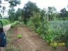 FOR SALE: Lot / Land / Farm Cavite > Silang