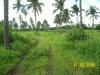 FOR SALE: Lot / Land / Farm Cavite > Silang