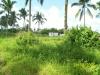 FOR SALE: Lot / Land / Farm Cavite > Silang 1