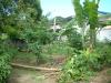 FOR SALE: Lot / Land / Farm Laguna > Los Banos 4