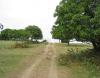 picture of dirt roads inside the property