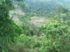 FOR SALE: Lot / Land / Farm Tagaytay 2