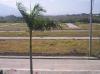 FOR SALE: Lot / Land / Farm Laguna > Calamba 8