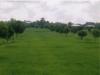 FOR SALE: Lot / Land / Farm Nueva Ecija > Other areas 1