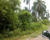 FOR SALE: Lot / Land / Farm Quezon 1