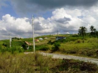 FOR SALE: Lot / Land / Farm Cebu 4