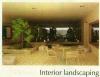 Interior Landscaping