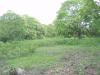 FOR SALE: Lot / Land / Farm Batangas 1