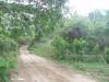 FOR SALE: Lot / Land / Farm Batangas 5