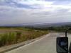 FOR SALE: Lot / Land / Farm Cebu 2