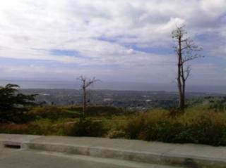 FOR SALE: Lot / Land / Farm Cebu 5