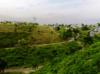 FOR SALE: Lot / Land / Farm Cebu 8