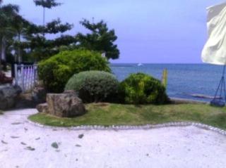 FOR SALE: Lot / Land / Farm Cebu 6