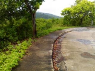 FOR SALE: Lot / Land / Farm Cebu > Cebu City 4