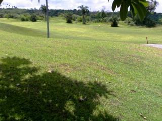 FOR SALE: Lot / Land / Farm Cebu > Cebu City 6