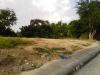 FOR SALE: Lot / Land / Farm Cebu 4