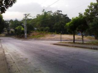 FOR SALE: Lot / Land / Farm Cebu 5