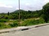 FOR SALE: Lot / Land / Farm Cebu > Cebu City 4