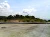 FOR SALE: Lot / Land / Farm Cebu 1