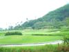 FOR SALE: Lot / Land / Farm Laguna > Calamba 1