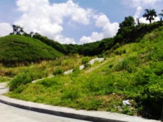 FOR SALE: Lot / Land / Farm Cebu 7