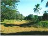 FOR SALE: Lot / Land / Farm Cavite