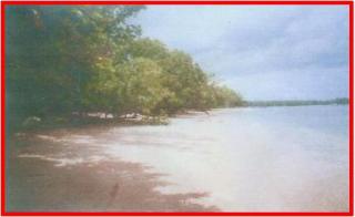 FOR SALE: Beach / Resort Palawan