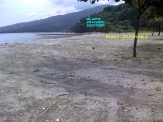 FOR SALE: Lot / Land / Farm Zambales > Other areas