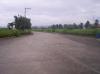 FOR SALE: Lot / Land / Farm Rizal 4