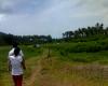 FOR SALE: Lot / Land / Farm Laguna 4