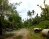 FOR SALE: Lot / Land / Farm Laguna 6