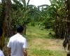 FOR SALE: Lot / Land / Farm Laguna 7