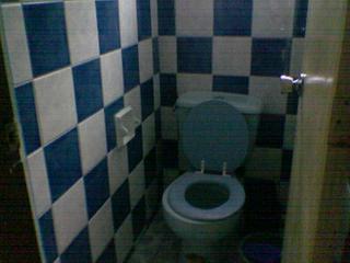 The toilet