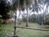 FOR SALE: Lot / Land / Farm Negros Oriental